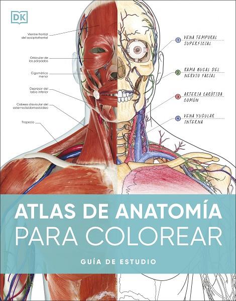 ATLAS DE ANATOMÍA PARA COLOREAR | 9780241703090