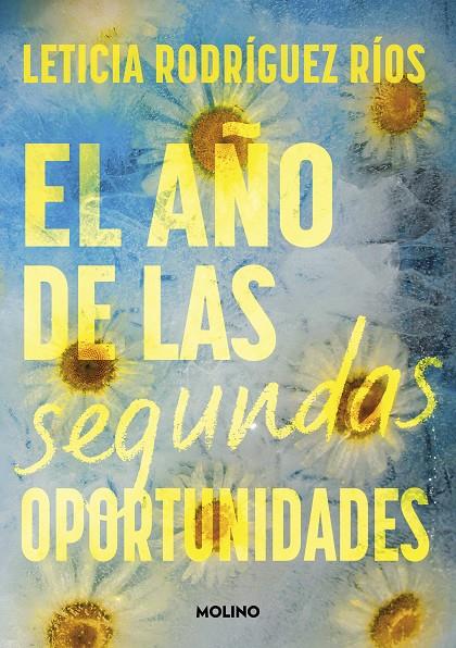 AÑO DE LAS SEGUNDAS OPORTUNIDADES, EL | 9788427242807 | RODRÍGUEZ RÍOS, LETICIA