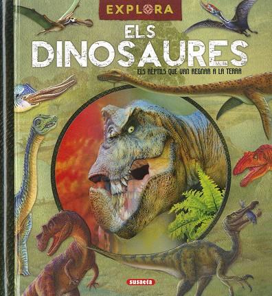 DINOSAURES, ELS | 9788467792539