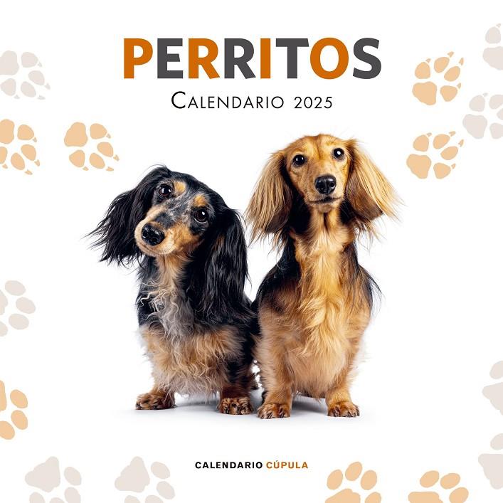 CALENDARIO PERRITOS 2025 | 9788448041649