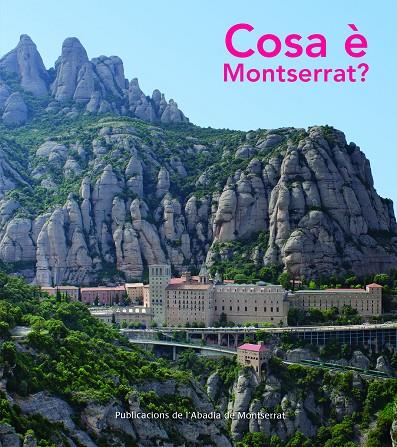 COSA È MONTSERRAT? | 9788498837117 | BOIX I SELVA, MAUR M./SARSANEDAS I VIVES, JORDI