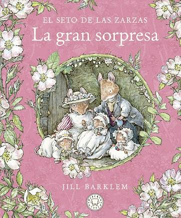 SETO DE LAS ZARZAS : LA GRAN SORPRESA | 9788418733666 | BARKLEM, JILL