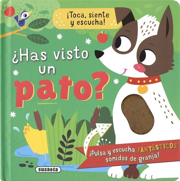 HAS VISTO UN PATO? | 9788411963381