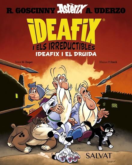 IDEAFIX I ELS IRREDUCTIBLES 5 : IDEAFIX I EL DRUIDA | 9788469643426 | GOSCINNY, RENÉ ; CHOQUET, MATTHIEU