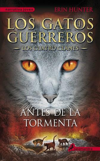 ANTES DE LA TORMENTA (LOS GATOS GUERREROS 4) | 9788498385335 | HUNTER, ERIN