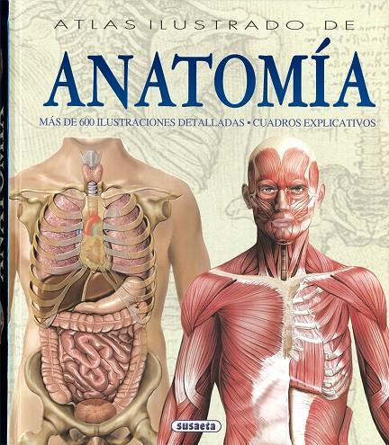 ATLAS ILUSTRADO DE ANATOMIA | 9788430534784 | RIGUTTI, ADRIANA