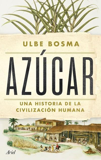 AZÚCAR : UNA HISTORIA DE LA CIVILIZACIÓN HUMANA | 9788434438286 | BOSMA, ULBE