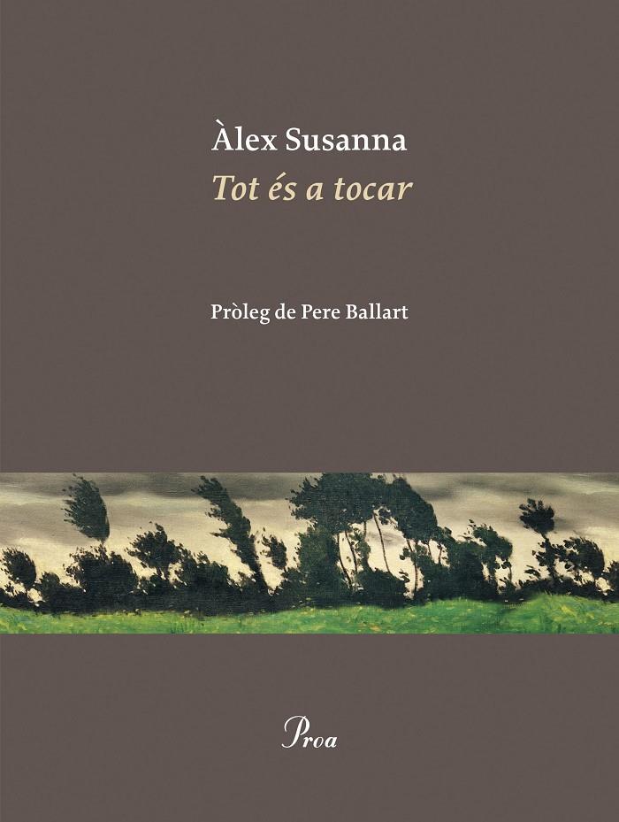 TOT ÉS A TOCAR | 9788410488045 | SUSANNA NADAL, ÀLEX