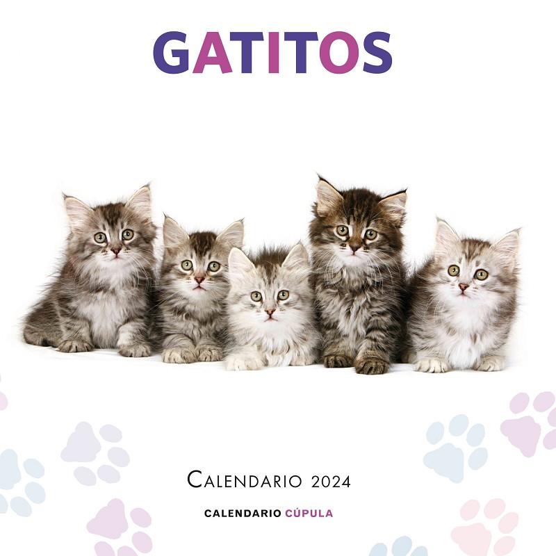 CALENDARIO 2024 GATITOS  | 9788448038076