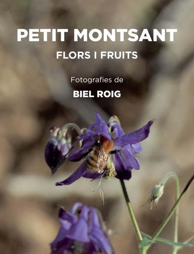 PETIT MONTSANT | 9788412565140 | BIEL ROIG