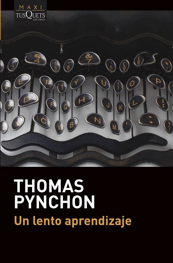 UN LENTO APRENDIZAJE | 9788490669389 | PYNCHON, THOMAS