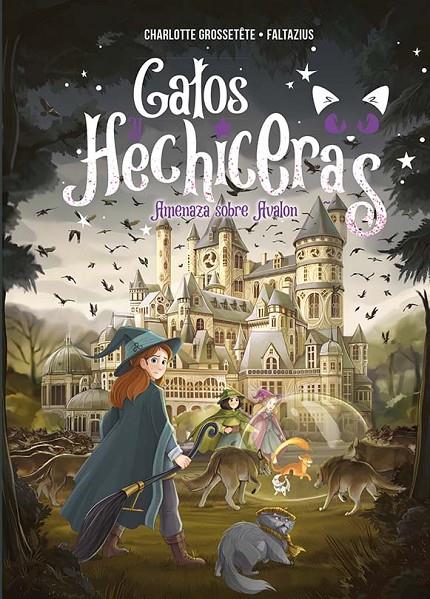 GATOS Y HECHICERAS 2 | 9788491456636 | GROSSETÊTE, CHARLOTTE ; FALTAZIUS