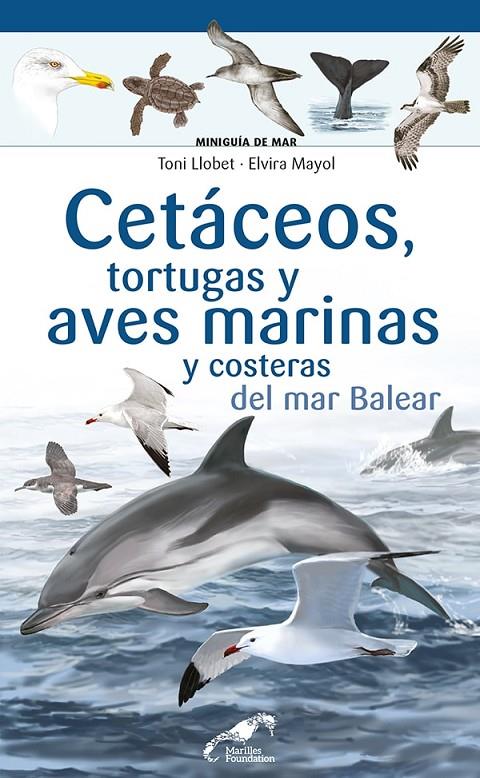 CETÁCEOS, TORTUGAS Y AVES MARINAS Y COSTERAS DEL MAR BALEAR | 9788413562742 | MAYOL, ELVIRA