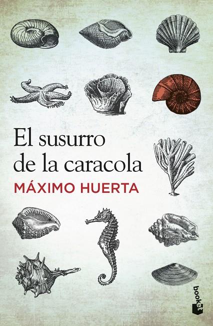 SUSURRO DE LA CARACOLA, EL | 9788427030251 | HUERTA, MAXIM