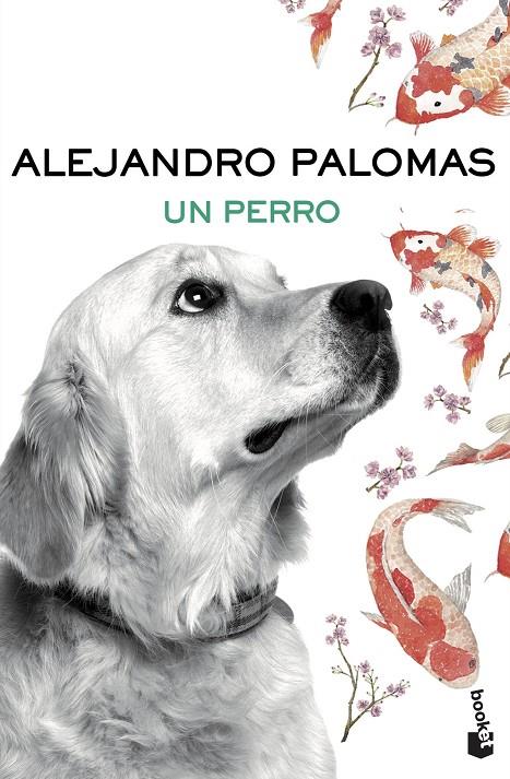 UN PERRO | 9788423351862 | PALOMAS ALEJANDRO