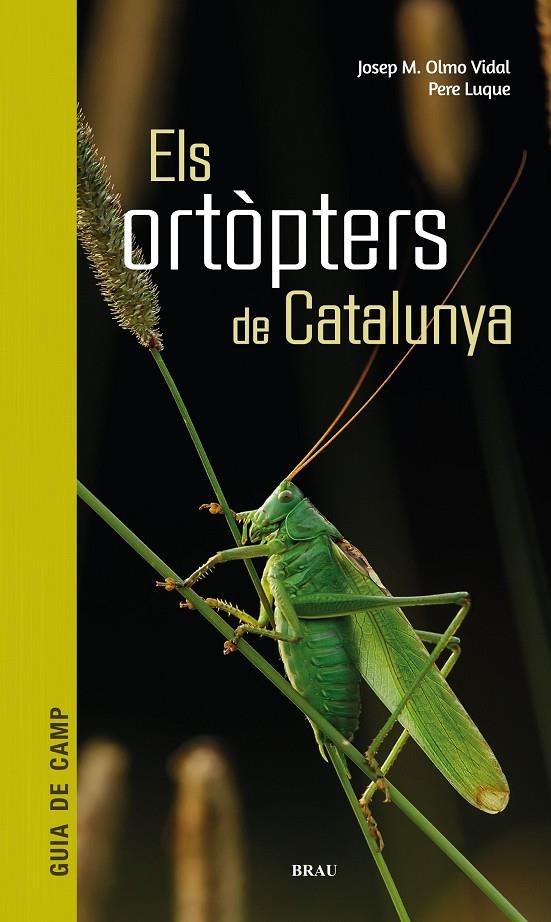 ORTÒPTERS DE CATALUNYA, ELS | 9788418096266 | OLMO VIDAL, JOSEP M ; LUQUE PINO, PERE