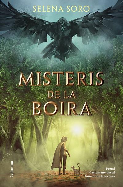 MISTERIS DE LA BOIRA, ELS | 9788466426619 | SORO, SELENA