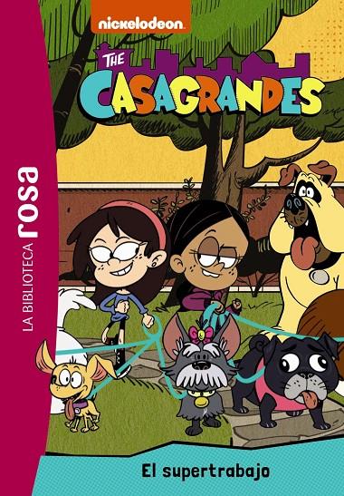 CASAGRANDES 1 : EL SUPERTRABAJO | 9788419316691 | GUINETON, CAROLINE