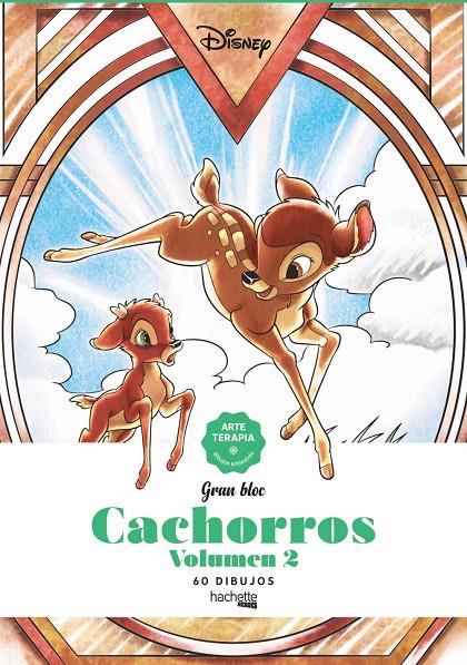 CACHORROS 2 | 9788417586676 | AA.VV.