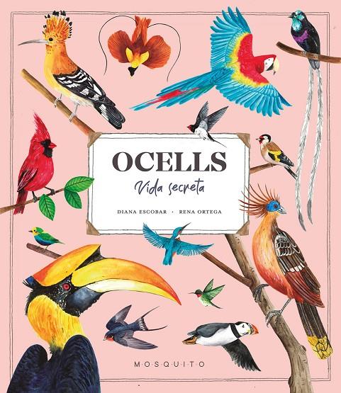 OCELLS :  VIDA SECRETA | 9788419095534 | ESTEBAN, DIANA ; ORTEGA, RENA