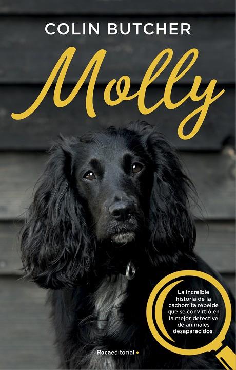 MOLLY | 9788417541033 | BUTCHER, COLIN