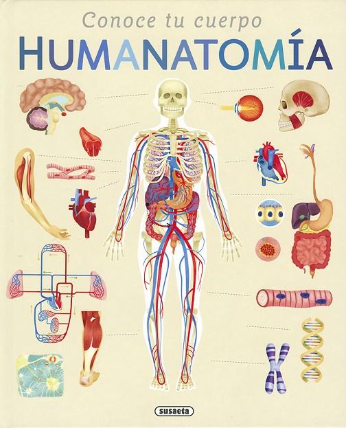 HUMANATOMÍA | 9788410841383 | EDWARDS, NICOLA