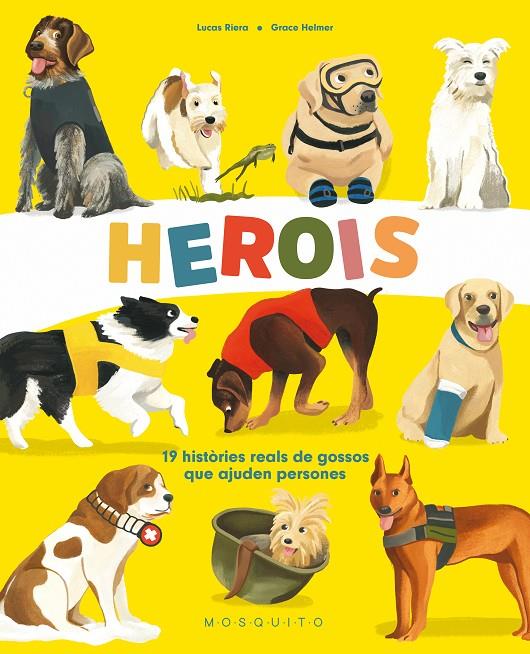 HEROIS : 19 HISTÒRIES REALS DE GOSSOS QUE AJUDEN PERSONES | 9788419095046 | RIERA, LUCAS ; HELMER, GRACE