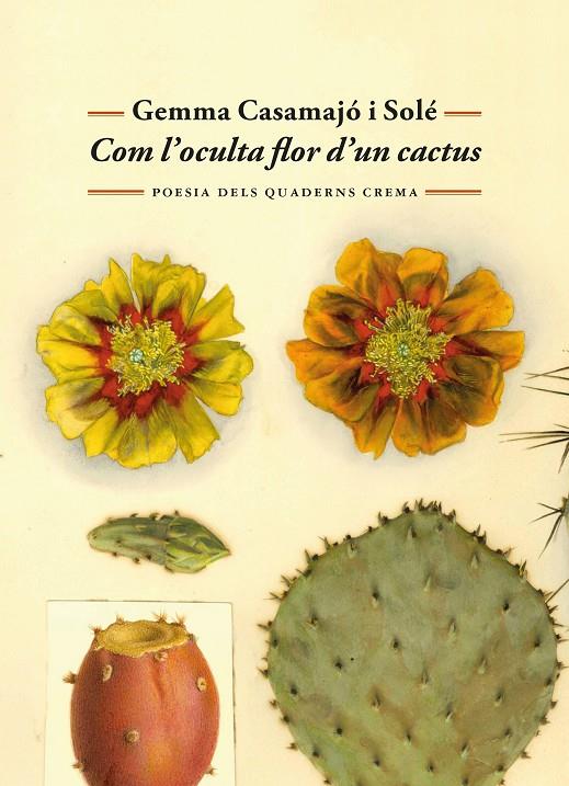 COM L'OCULTA FLOR D'UN CACTUS | 9788477277071 | CASAMAJÓ I SOLÉ, GEMMA