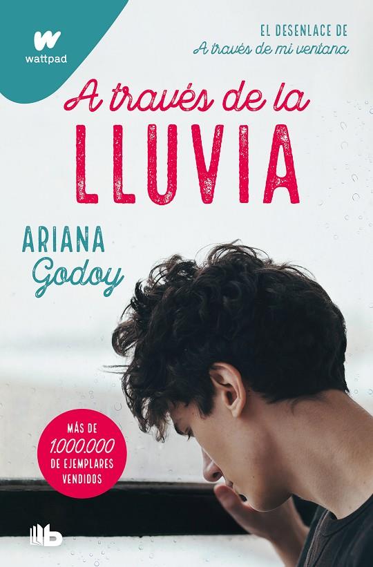 A TRAVÉS DE LA LLUVIA  | 9788413147994 | GODOY, ARIANA