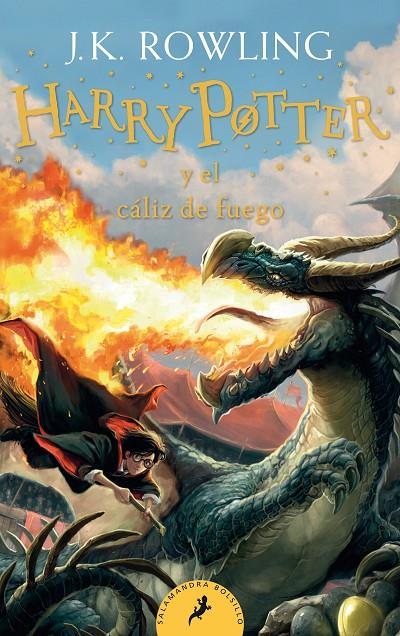 HARRY POTTER Y EL CALIZ DE FUEGO | 9788418173110 | ROWLING, J.K.