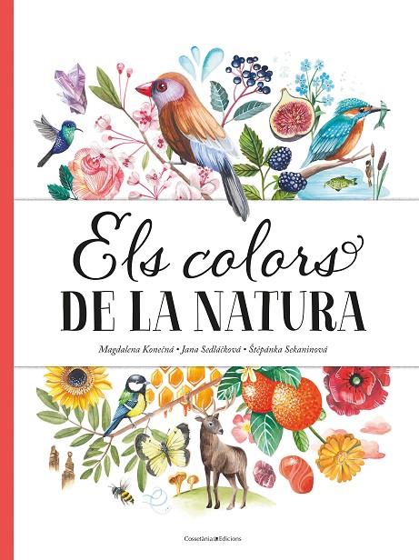 COLORS DE LA NATURA, ELS  | 9788490349243 | KONECNA, MAGDALENA ; SEDLACKOVA, JANA ; SEKANINOVA, STEPANKA