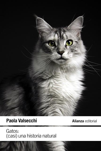 GATOS : (CASI) UNA HISTORIA NATURAL | 9788411485616 | VALSECCHI, PAOLA