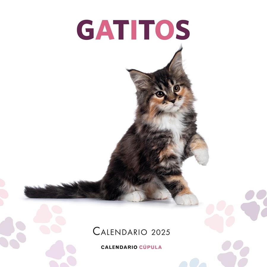 CALENDARIO GATITOS 2025 | 9788448041656