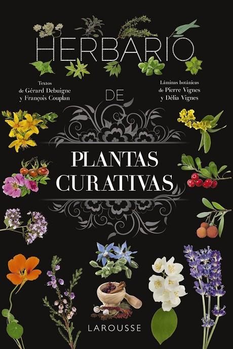 HERBARIO DE PLANTAS CURATIVAS | 9788410124110 | VIGNES, PIERRE ; VIGNES, DÉLIA