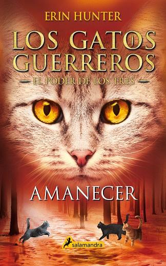 AMANECER (LOS GATOS GUERREROS : EL PODER DE LOS TRES 6) | 9788418174056 | HUNTER, ERIN