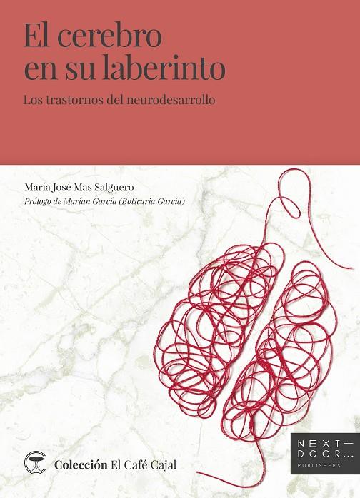 CEREBRO EN SU LABERINTO, EL : LOS TRASTORNOS DEL NEURODESARROLLO | 9788412159813 | MAS SALGUERO, MARIA JOSE