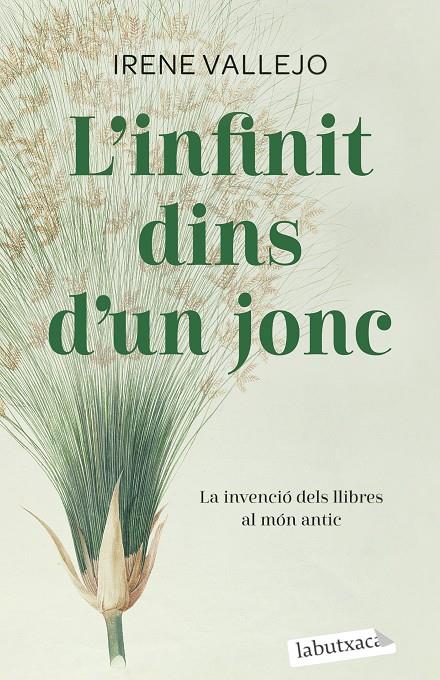 INFINIT DINS D'UN JONC, L' | 9788419107121 | VALLEJO, IRENE