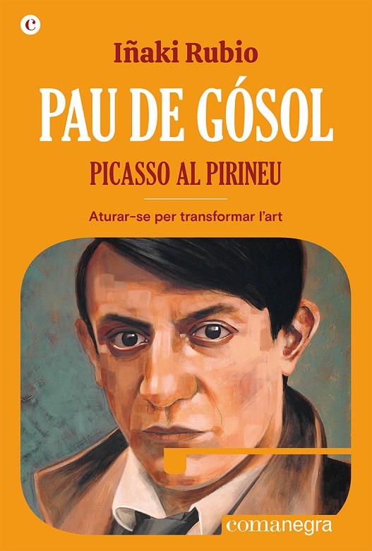 PAU DE GÓSOL. PICASSO AL PIRINEU | 9788419590404 | RUBIO, IÑAKI