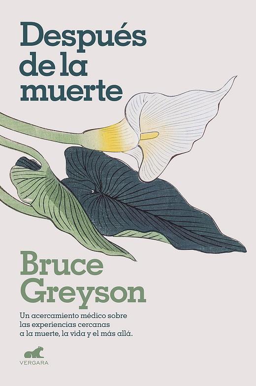 DESPUÉS DE LA MUERTE | 9788418045578 | GREYSON, BRUCE